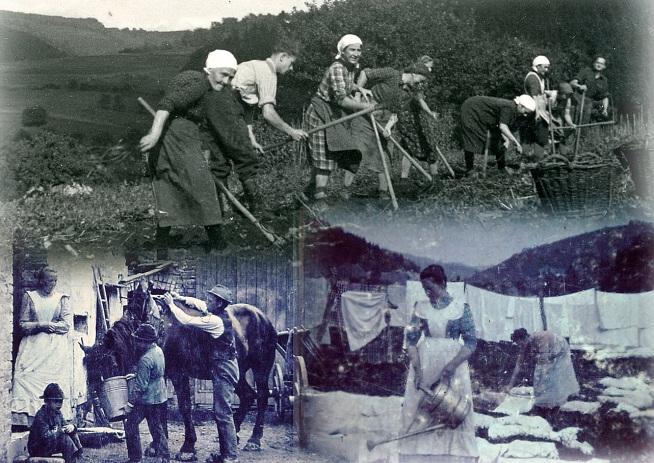 Foto / Repros: Jürgen Jachtenfuchs